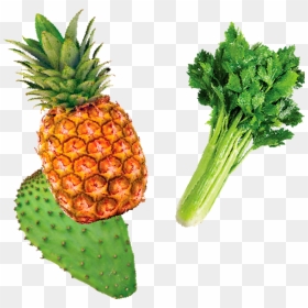 Piña Apio Y Nopal, HD Png Download - piña png