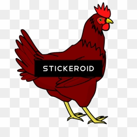 鸡png透明图像 鸡 Chicken Clip Art , Png Download - Hen Clipart Png, Transparent Png - hen png