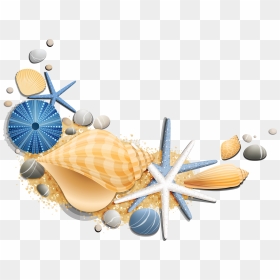 Étoile De Mer Et Coquillage, HD Png Download - seashells png