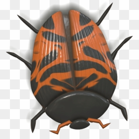 Ladybug Orange And Black Head Down - Ladybird Beetle, HD Png Download - lady bug png