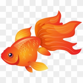 Goldfish, HD Png Download - fishes png