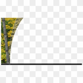 American Foliage , Png Download - Circle, Transparent Png - foliage png