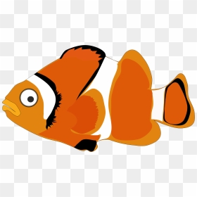 Fish Cartoon Nemo Png, Transparent Png - fishes png