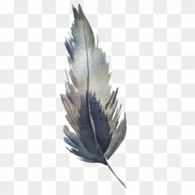 Watercolor Feather Png - Grey Feathers Watercolor Png, Transparent Png - peacock leaf png