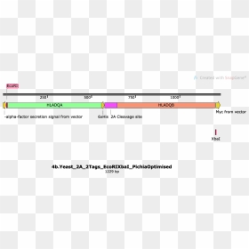 Screenshot, HD Png Download - chain vector png