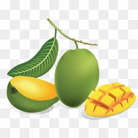 Green Mango Png, Transparent Png - mango fruit png