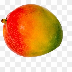 Mango, HD Png Download - mango fruit png