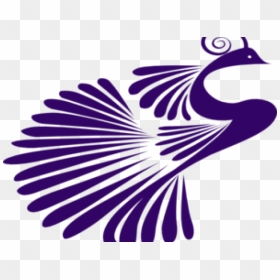 Peacock Clipart Purple - Peacock Clipart Png Black And White, Transparent Png - peacock clipart png