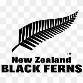 New Zealand Rugby Fern, HD Png Download - ferns png