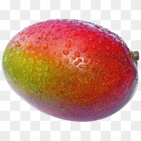 Mango Images, Clip Art, Illustrations, Pictures - Pretty Mango, HD Png Download - mango fruit png