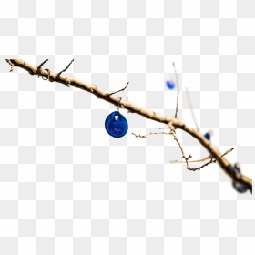 Circle, HD Png Download - ramas png