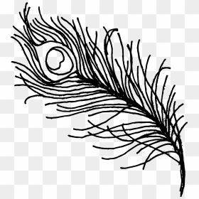 Peacock Feather Drawing Png Transparent Onlygfx Com - Peacock Feather Outline Drawing, Png Download - peacock leaf png