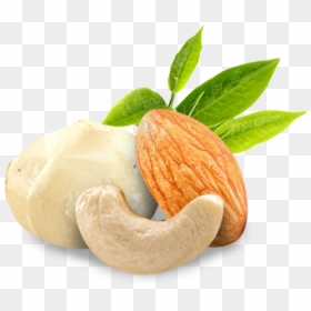 Cashew, HD Png Download - cashew nut png