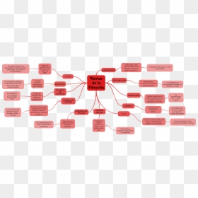 Diagram, HD Png Download - ramas png