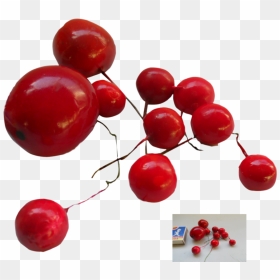 Red Berry Png - Transparent Red Berries Png, Png Download - berries png
