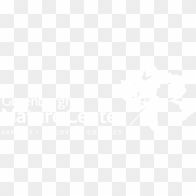 Gnc Logowhite Tag - Papilio, HD Png Download - gnc logo png
