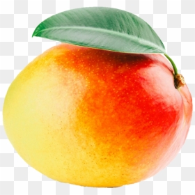 #mango #yellow #orange #fruit #png #niche #aesthetic - Mango Aesthetic, Transparent Png - mango fruit png