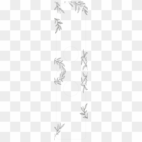Circle, HD Png Download - ramas png