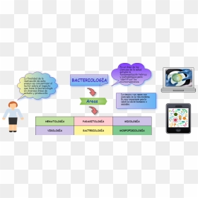 Diagram, HD Png Download - ramas png