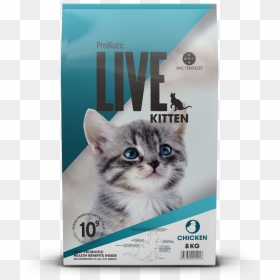 Probiotic Live Cat Kitten Chicken - Live Kitten Cat Chicken 8kg, HD Png Download - live chicken png