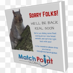 Flyer, HD Png Download - we'll be right back png
