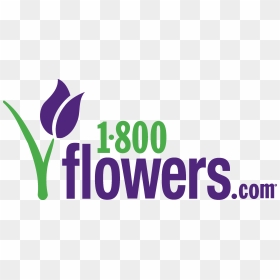 1 800 Flowers Com Logo, HD Png Download - flowers logo png
