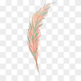 Clip Art, HD Png Download - peacock leaf png