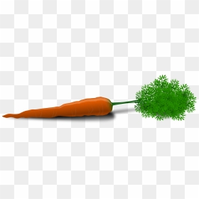 Plant Stem,carrot,vegetable - Carrot Clip Art, HD Png Download - vegetables png icons