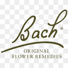 Bach Flowers Logo - Bach Flower Logo Png, Transparent Png - flowers logo png