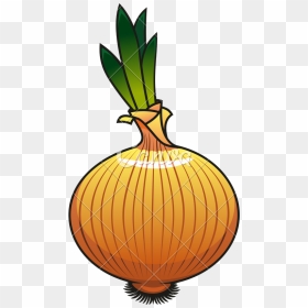 Onion Icon Design - Transparent Onion Icon, HD Png Download - vegetables png icons