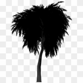 Silhouette Weeping Willow Tree - Willow Tree Silhouette Png, Transparent Png - willow png