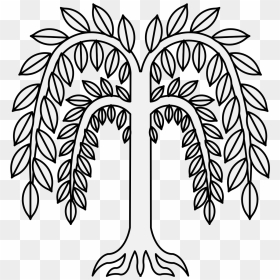Willow Tree Clip Art - Willow Plant Drawing, HD Png Download - willow png