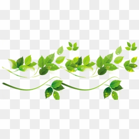 Vine Vector Plant Illustrator - Leaf Cector, HD Png Download - bushes vector png