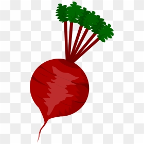 Vegetables Clipart Icon - Beet Clipart, HD Png Download - vegetables png icons