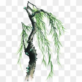 This Graphics Is Painted Willow Tree Element Design - 柳树 国画, HD Png Download - willow png