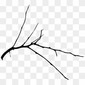 Free Png Simple Tree Branch Png Images Transparent - Twig Transparent, Png Download - real tree branch png