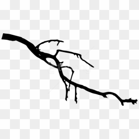 Tree Branch Silhouette Tree Branch Silhouette Png Free - Tree Branch Silhouette, Transparent Png - real tree branch png