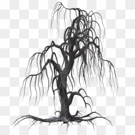 Tree Drawing Willow Clip Art - Creepy Tree Transparent Background Png, Png Download - willow png