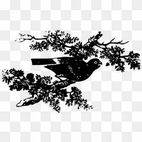 Vector Image Of Pigeon On A Tree Branch - Clip Art, HD Png Download - real tree branch png