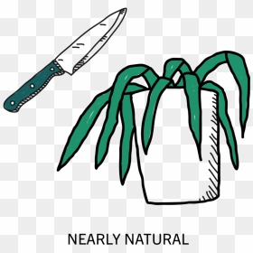 Icons-02, HD Png Download - vegetables png icons