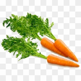 Carrot Computer Icons Clip Art - Carrots Png, Transparent Png - vegetables png icons