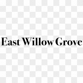 Willow Png, Transparent Png - willow png