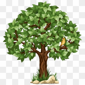 Shrub Bushes Clipart Arbres - Clipart Transparent Tree Png, Png Download - bushes vector png