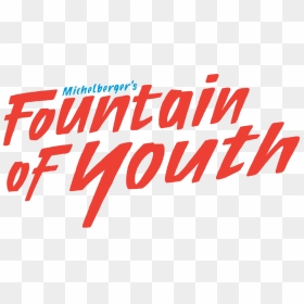 Fountain Of Youth Logo - Fountain Of Youth Michelberger, HD Png Download - fountain top view png