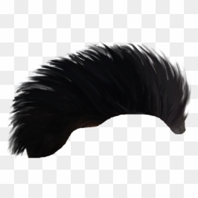 Buzzard, HD Png Download - hair png for picsart