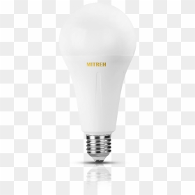 European Top Led Bulb Suppliers - Bulbs, HD Png Download - led bulbs png