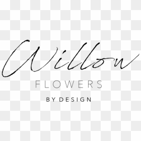 Logo Willow, HD Png Download - willow png
