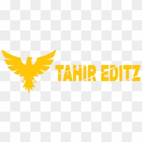 Graphic Design, HD Png Download - hair png for picsart