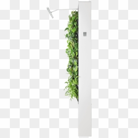 Refrigerator, HD Png Download - indoor plants top view png