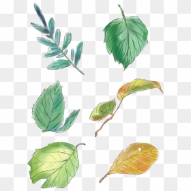 Original Hand Painted Green Leaves Set Drawings Png - Нарисованные Листья, Transparent Png - green leaf design png